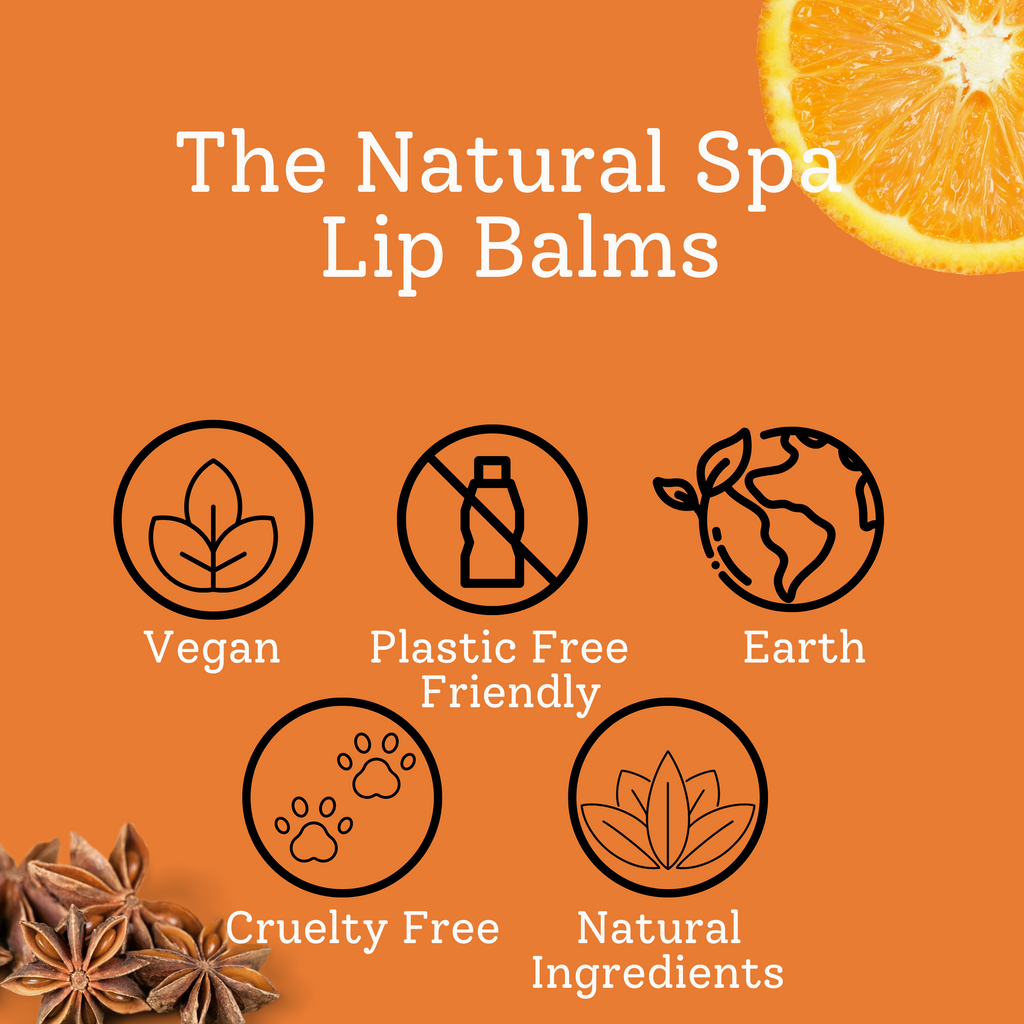Spiced Orange Lip Balm | All Natural | 15g